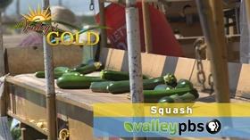 Video thumbnail: Valleys Gold Season 3 PREVIEW | Episode 9: Squash