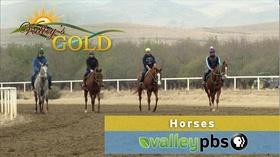 Video thumbnail: Valleys Gold Season 3 Episode 1: Horses