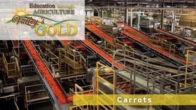 Video thumbnail: Valleys Gold Season 3 Education through Agriculture: Carrots