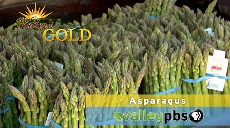 Video thumbnail: Valleys Gold Asparagus
