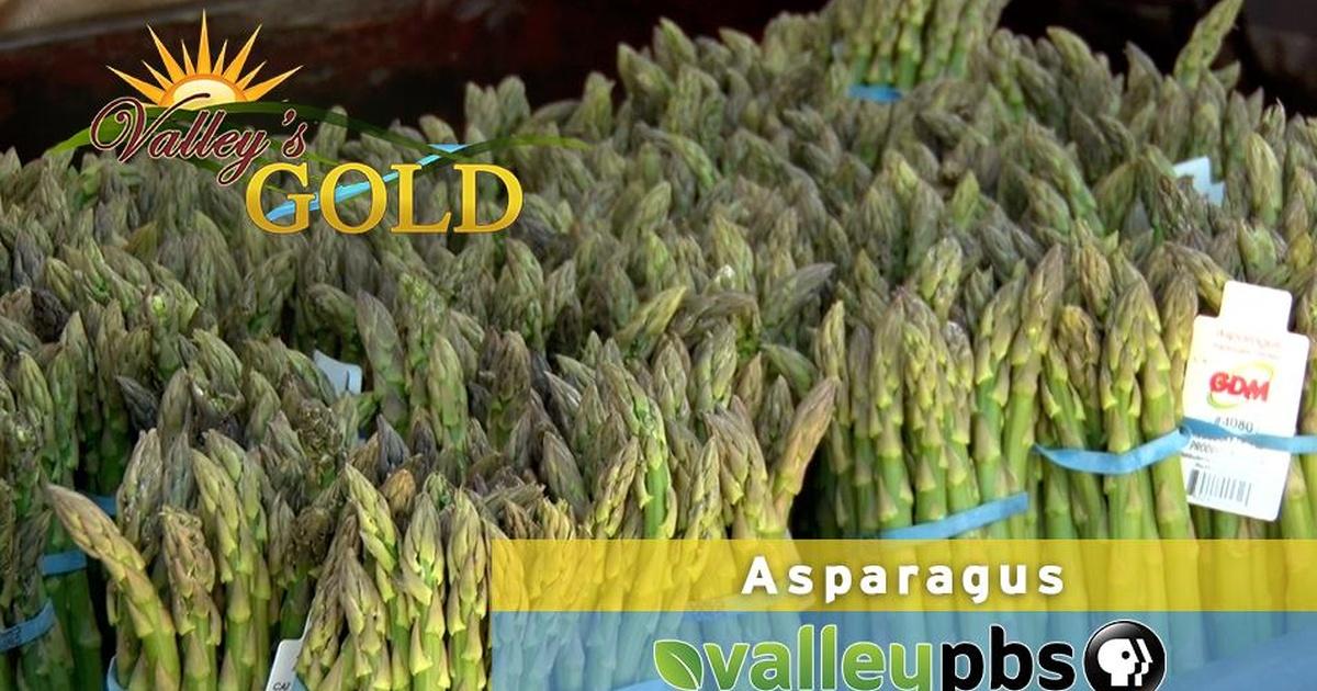 Valley's Gold Asparagus Season 4 Episode 3 PBS