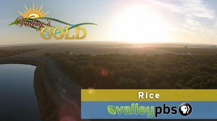 Video thumbnail: Valleys Gold Rice