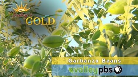 Video thumbnail: Valleys Gold Garbanzo Beans