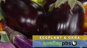 Video thumbnail: Valley's Gold Season 4 Valley's Gold: Eggplant & Okra
