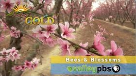 Video thumbnail: Valleys Gold Season 2 Season 2, Ep. 1: Bees & Blossoms