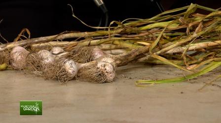 Video thumbnail: You Bet Your Garden You Bet Your Garden Ep: 146