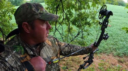 Video thumbnail: Kentucky Afield Peregrine Falcons; Creek Fishing; Deer Archery Seasons