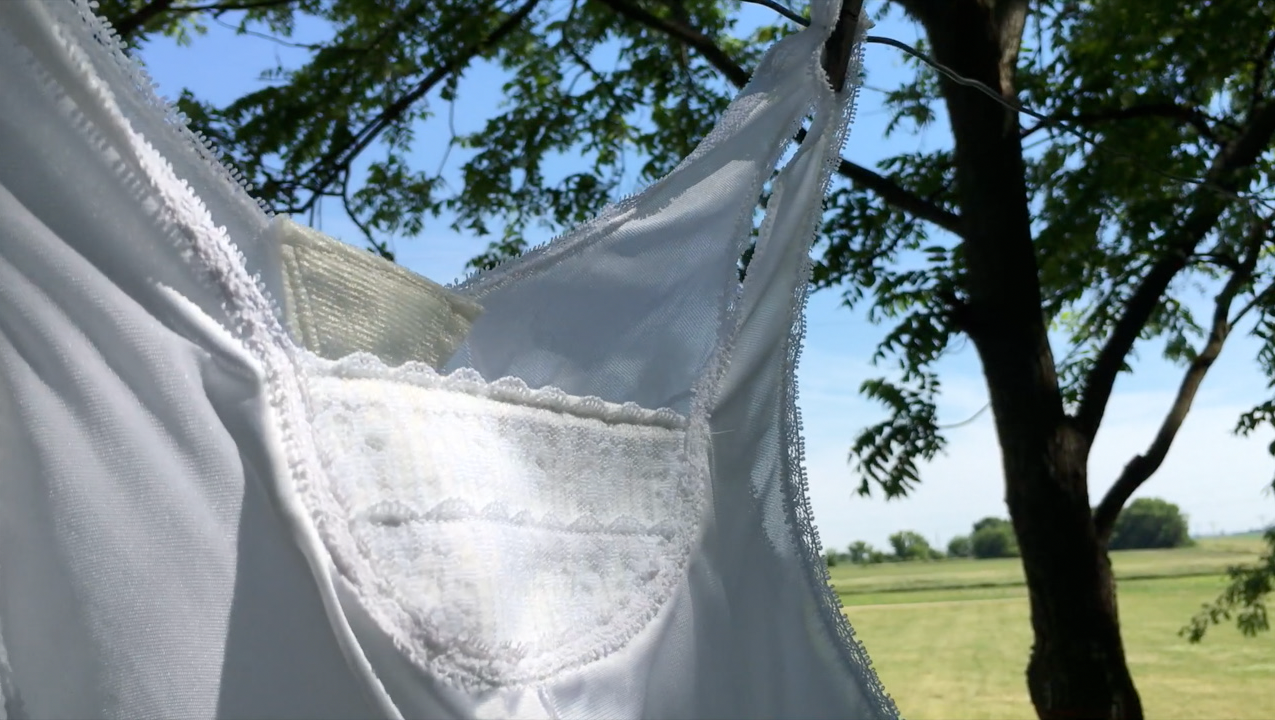 Poems from the Field: The Camisole