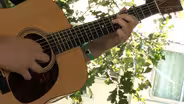 Bluegrass Festival