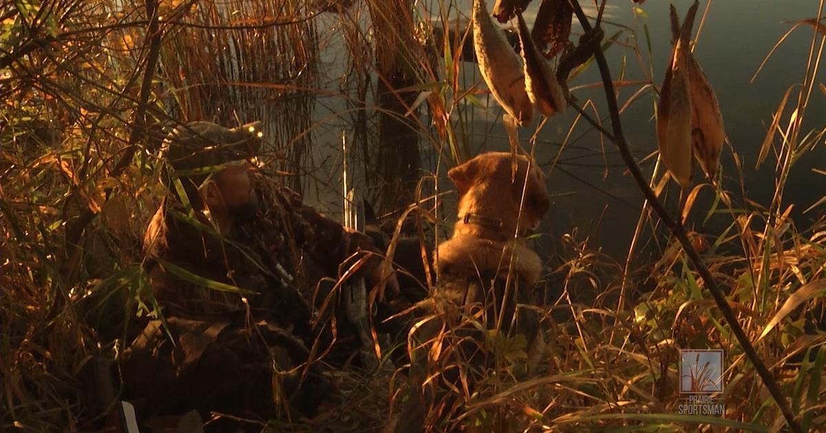 Prairie Sportsman | Duck Hunting | Season 8 | Episode 2 | PBS
