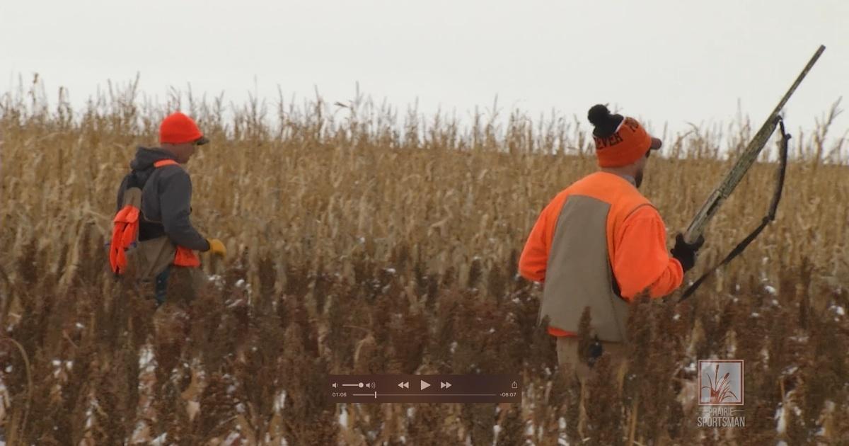 Prairie Sportsman | Aberdeen Pheasant Hunt | Season 8 | Episode 4 | PBS
