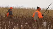 Aberdeen Pheasant Hunt
