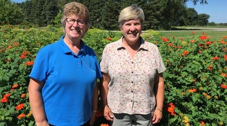 Video thumbnail: Prairie Yard & Garden Monarchs and the Plants They Love