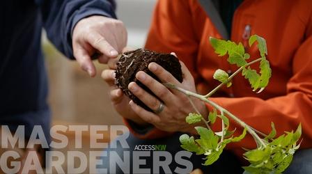 Video thumbnail: Access Northwest  Master Gardeners
