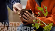 Master Gardeners