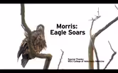 Morris: Eagle Soars
