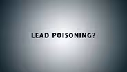 Morris Lead Poisoning
