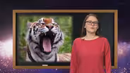 Dr. Universe: Why is Yawning Contagious?