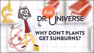 Dr. Universe: Plant Sunscreen