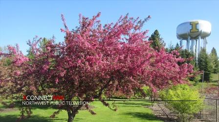 Video thumbnail: xConnect Northwest Arboretum & Botanical Gardens