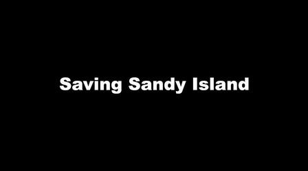 Video thumbnail: Carolina Stories Saving Sandy Island