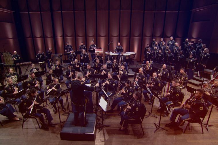 Salute to Service 2025: A Veterans Day Celebration Poster