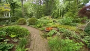 Volunteer Gardener 3419