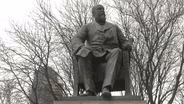 Yankee Yorkers | Destination Detroit Shorts