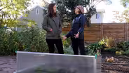 Cold Frames with Ashley Patterson