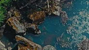 OLYMPIC RIVER - Extended Version