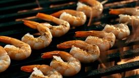 The True Cost of Shrimp: What the Grocery Store Doesn’t Show You: asset-mezzanine-16x9