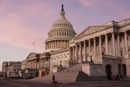 Races to watch as election night returns come in
