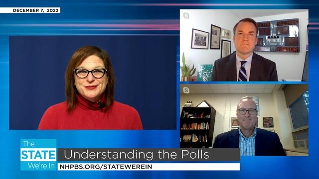 Understanding the Polls