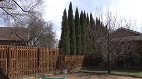 Video thumbnail: Backyard Farmer Backyard Farmer: Cedar Apple Rust