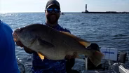 Sheephead fishing, Forest management, Crop damage deer hunt | Michigan Out of Doors