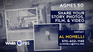 Agnes 50: Share Your Stories