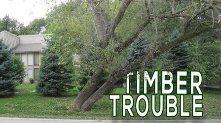 Video thumbnail: Backyard Farmer Digging Deeper: Timber Trouble