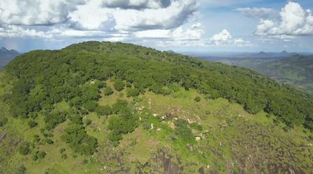 Video thumbnail: Life from Above Using Satellites to Make Discoveries