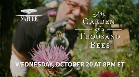 Video thumbnail: Local Routes Preview: My Garden of a Thousand Bees