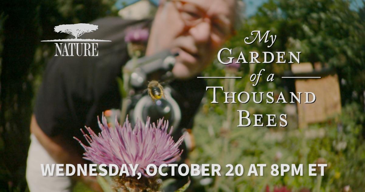 Local Routes Preview My Garden Of A Thousand Bees Season 7 Episode 1 Pbs 