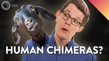 Video thumbnail: Be Smart Could You Be a Chimera? (ASL)