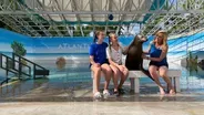 Marine Life in the Bahamas