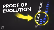 Proof of Evolution Is Hiding in Your DNA