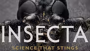 Insecta: Science that Stings
