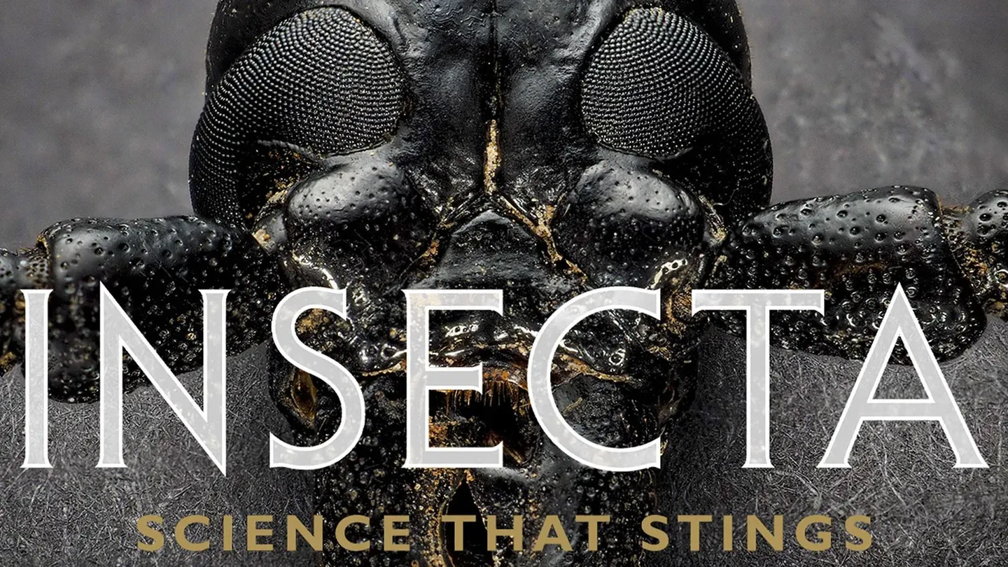 Insecta: Science that Stings