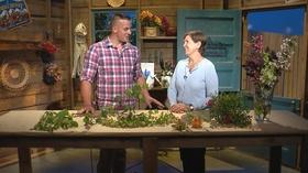 Video thumbnail: Virginia Home Grown Flowering shrubs; Unique Lily and other Blooming Flowers (#1