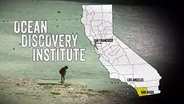 Ocean Discovery Institute