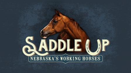 Video thumbnail: Nebraska Public Media Originals SADDLE UP Nebraska's Working Horses