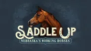 SADDLE UP Nebraska's Working Horses