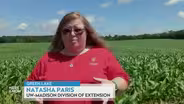 Natasha Paris on Wisconsin's Farms Facing Weather Whiplash